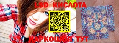 прущие грибы Моздок