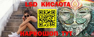 стаф Можга