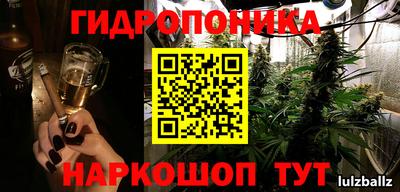 прущие грибы Моздок