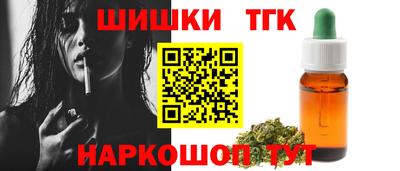 стаф Можга