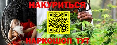 стаф Можга
