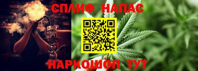 прущие грибы Моздок