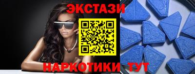 стаф Можга