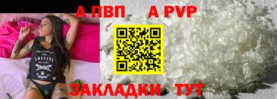 стаф Можга
