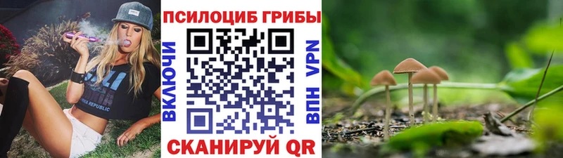 Купить где  Тында  Галлюциногенные грибы прущие грибы 