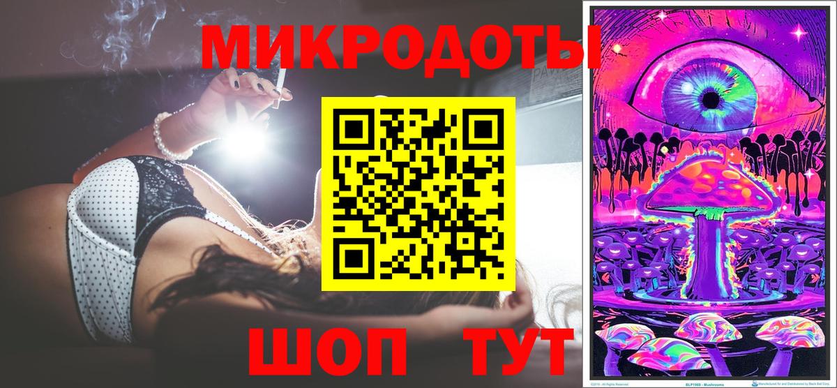 Галлюциногенные грибы Psilocybe Тында