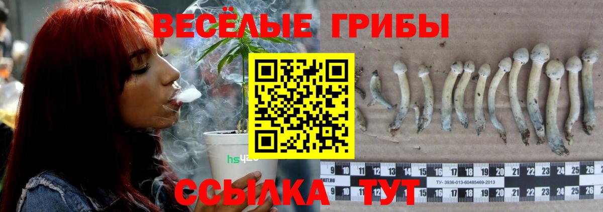 Псилоцибиновые грибы мицелий  Вход с VPN  Тында 